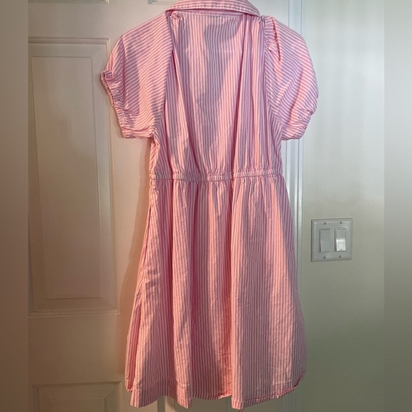 J. Crew Pink and White Striped Dress - Picture 5 of 5